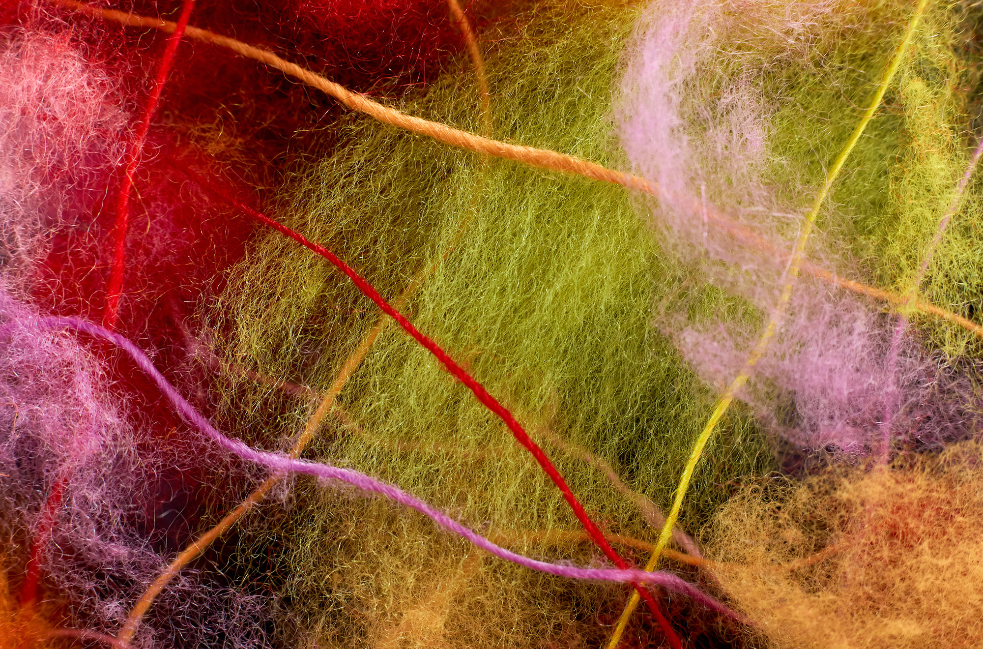 Metachroma
